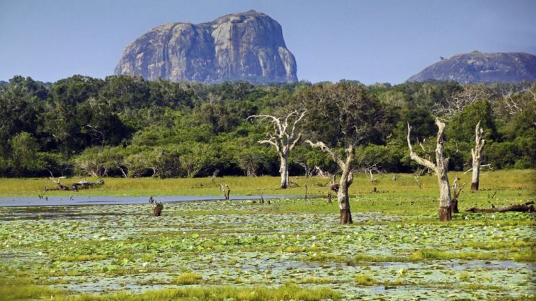 Modara Gala: The Scenic Cliffside Marvel of Yala