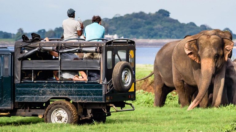 Yala Block II: A Hidden Wilderness Waiting to Be Discovered